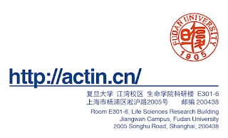 image on actin.cn