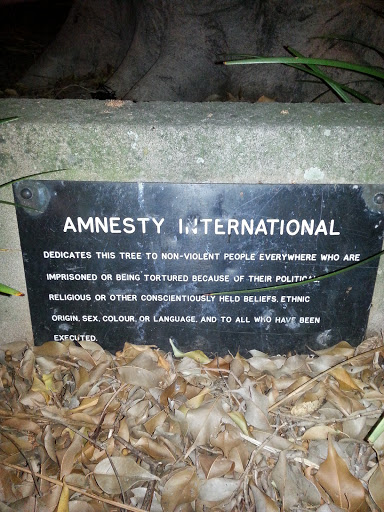 Amnesty International Tree Dedication