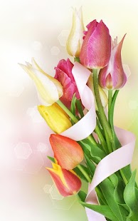 Lastest Colorful Tulips Live Wallpaper APK