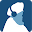 SikhNet Radio Download on Windows