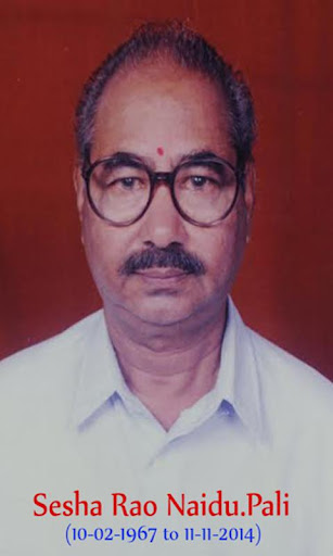 Pali Sesha Rao Naidu