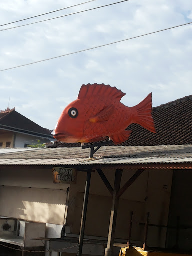 Orange Ikan