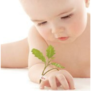 Developpement bébé.apk 4.0