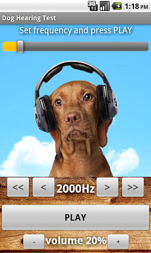 Dog Hearing Test