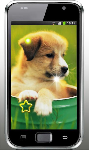 Pet Puppy Free live wallpaper