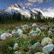 Stones of British Columbia