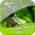 Lizards - Reptile Pets