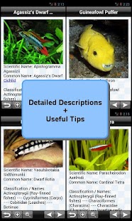 Free Tropical Fish Encyclopedia APK for Android