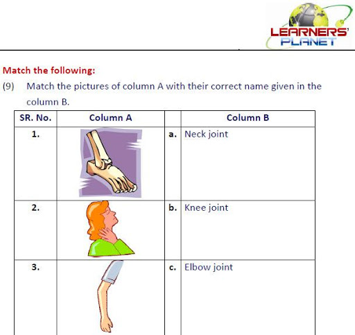 Grade-2-EVS-Part-2