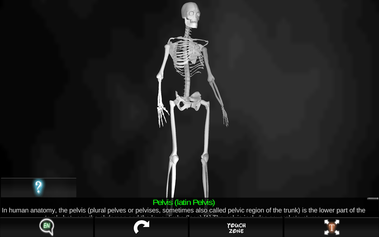 Bones Human 3D (anatomy) Android Apps on Google Play