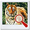 astuce Find It 2™ Find the Difference jeux