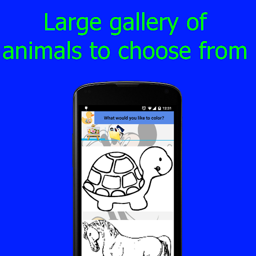 Animals Colouring Pages