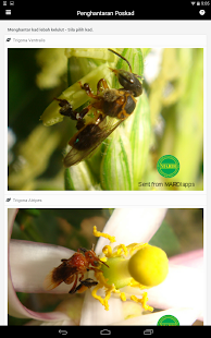 MARDI Teknologi Lebah Kelulut Screenshots 5