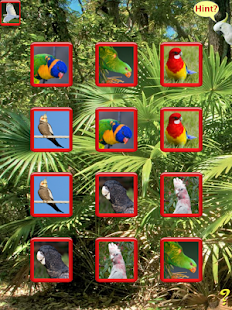 Birdy Brain Screenshots 6