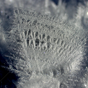 nature by Илија Марковић - Abstract Patterns