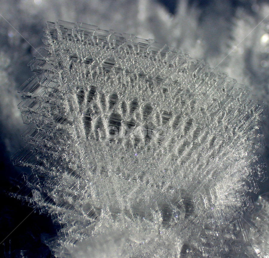 nature by Илија Марковић - Abstract Patterns