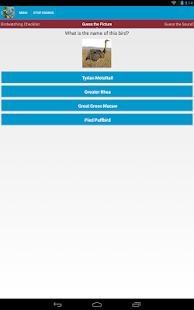 South American Birds Sounds Screenshots 3