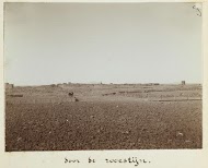 Zicht vanuit een trein op een woestijndorp in Syrië