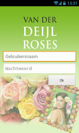 Deijlroses