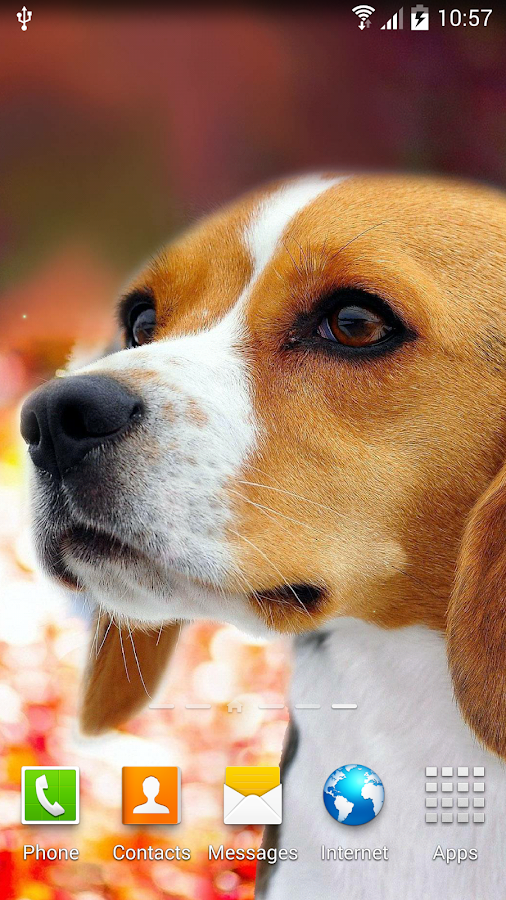 Dogs Wallpaper - Android Apps on Google Play