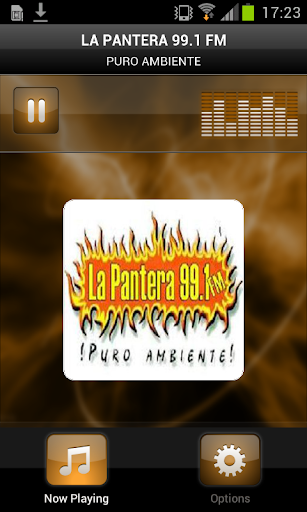 LA PANTERA 99.1 FM