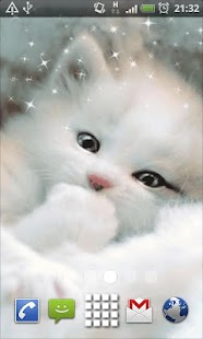 Free White Kitten Live Wallpaper APK for PC