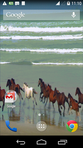 Beach Running Horse