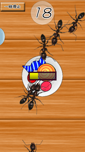 Ant squash - Real Version-