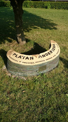 Pomnik Platan Andersena