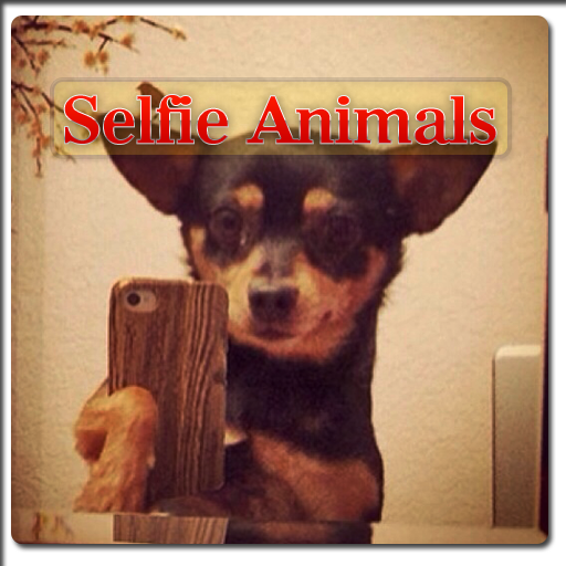 free selfie Animals