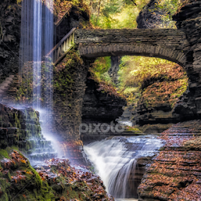 Life's Path  by Karen Celella - Landscapes Mountains & Hills