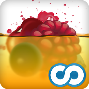 FruitPunch for PC and MAC