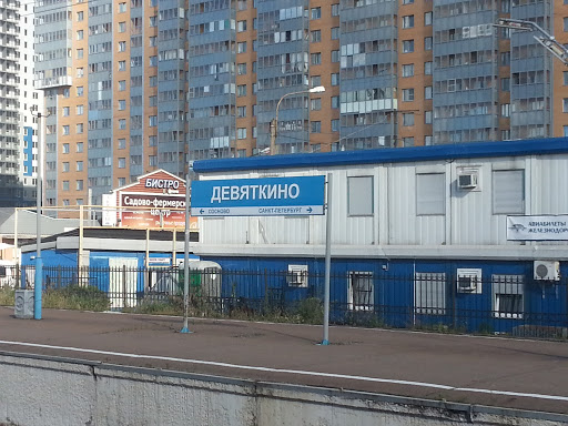 Devyatkino Railway Station