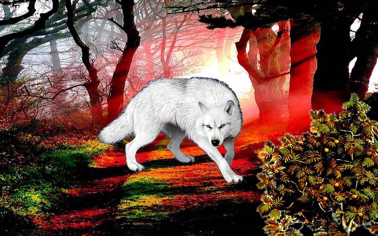 Gambar Wallpaper 3d Wolf Gambar DP BBM