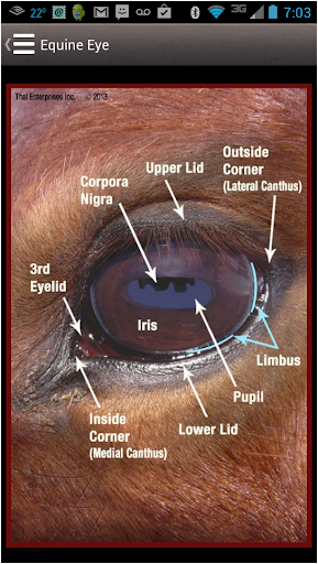 【免費書籍App】Horse Side Vet Guide-APP點子