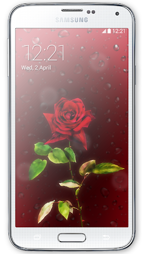 Red Rose HD Live Wallpaper