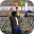 Point Shootout Download on Windows
