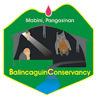 BalincaguinConservancy