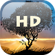 Falling Leaves Live Wallpaper APK