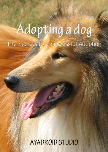 Adopting a Dog