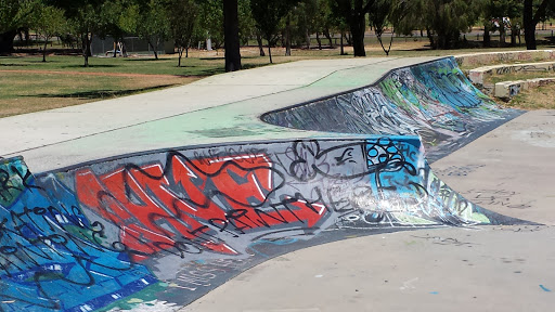 Skate Park Murals