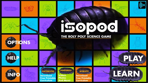 Isopod - Trial