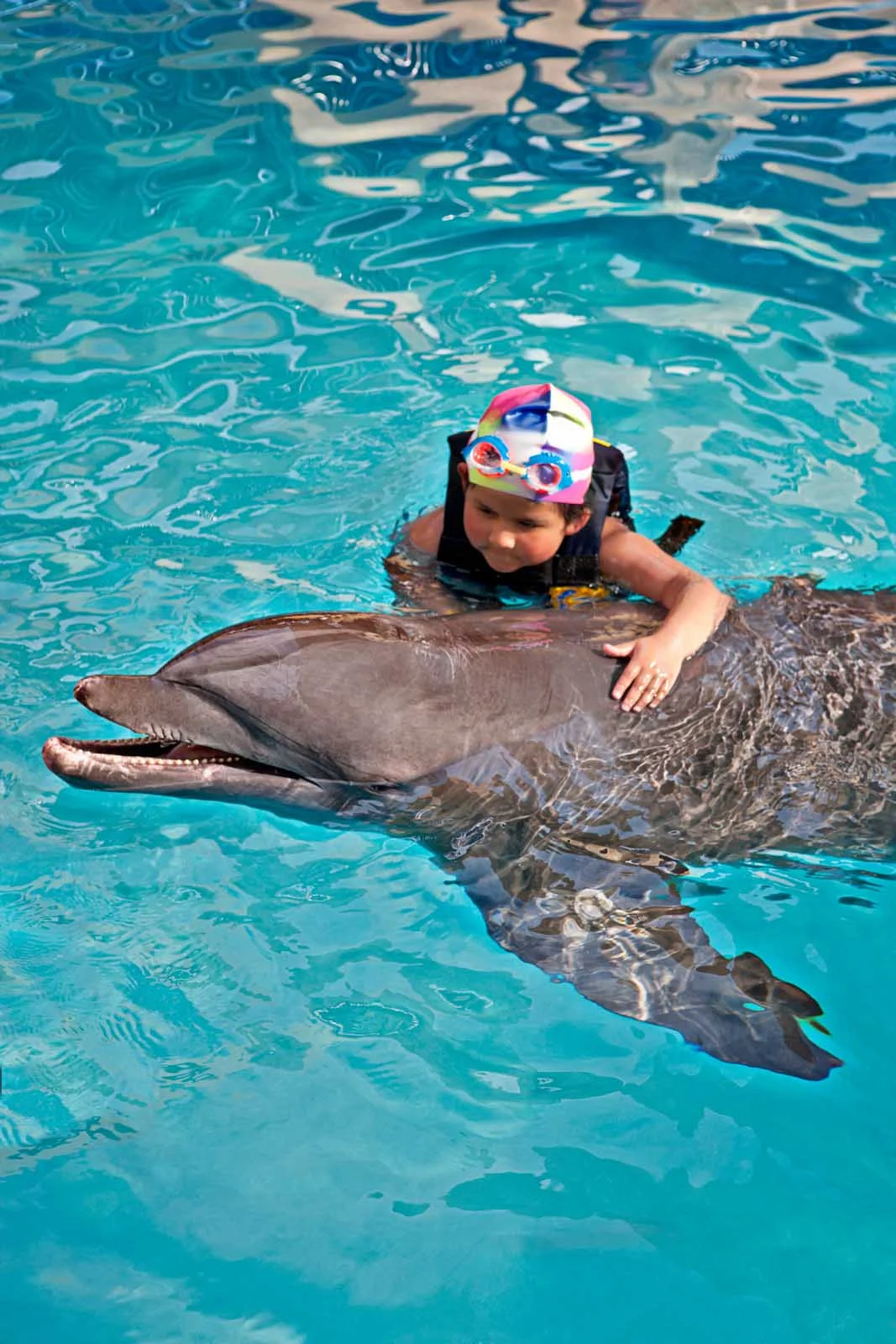 Acapulco-dolphin - Visitors of all ages can swim with dolphins in Acapulco.