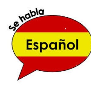 L'Espagnol sans fautes C1