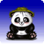 Virtual Panda icon