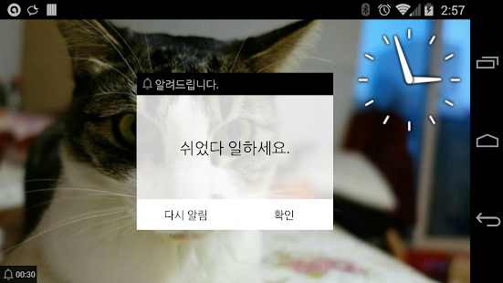 디지털 포토 전자 액자 + 타이머 알림 시계 Screenshots 7