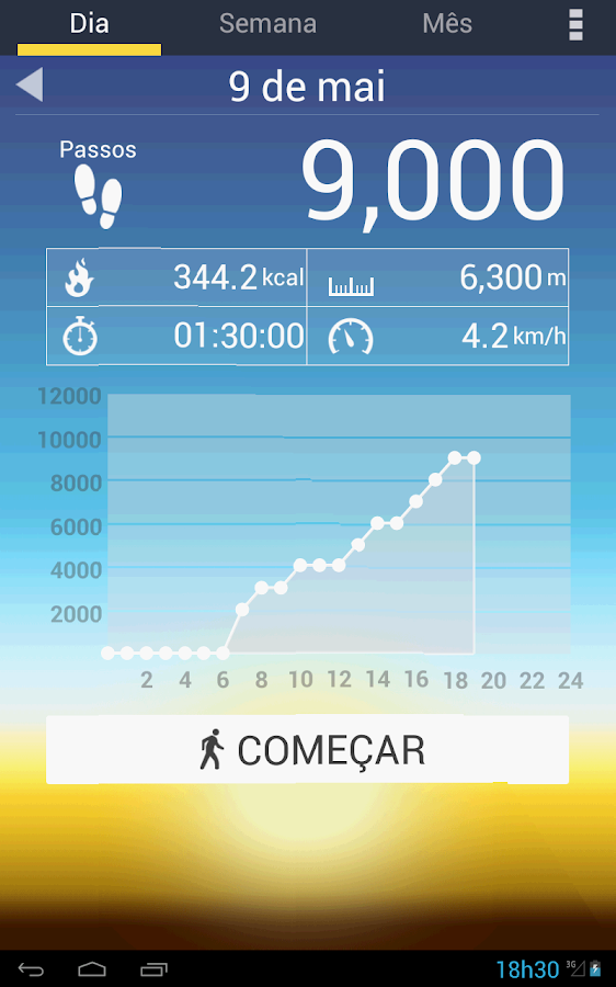   Pedómetro: captura de tela 