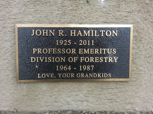 John R Hamilton Memorial Tree
