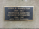 John R Hamilton Memorial Tree