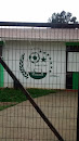 Club Deportivo Sauce Sur